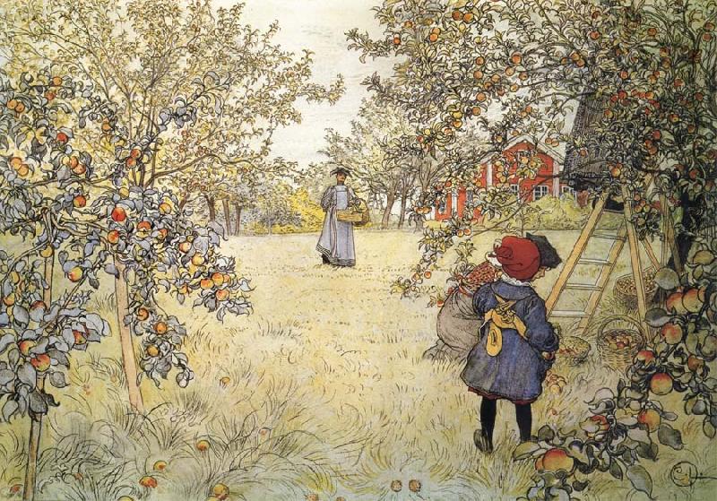 Carl Larsson Apple Harvest oil painting image